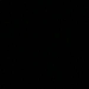 Meet your Posher, Isabella